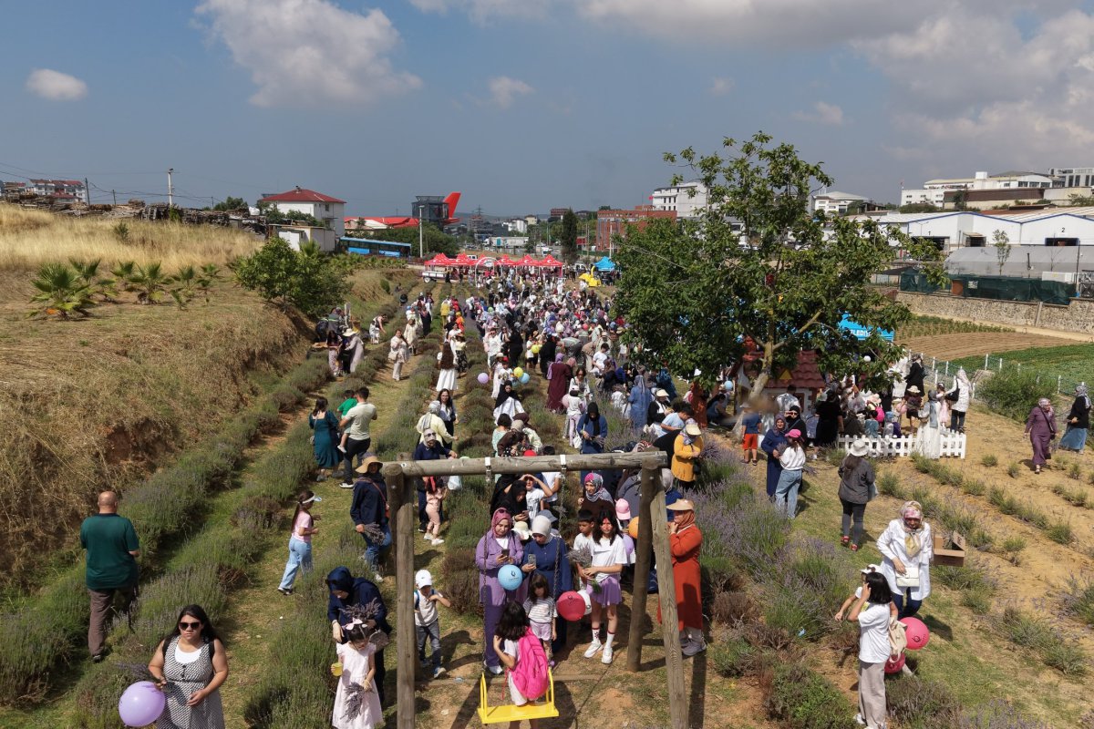Çayırovalılar Lavanta Hasadı Şenliği’nde bir araya geldi
