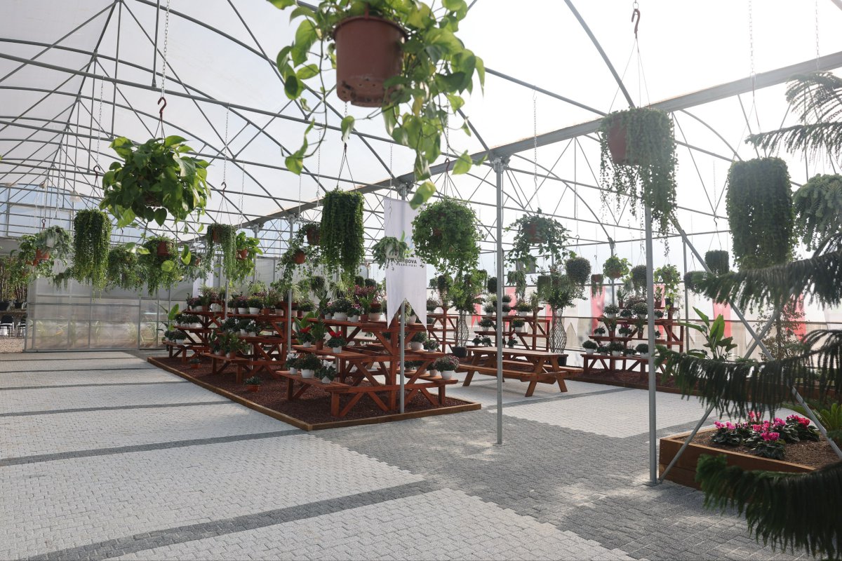 Bahçem Çayırova’nın kurdelesi kesildi