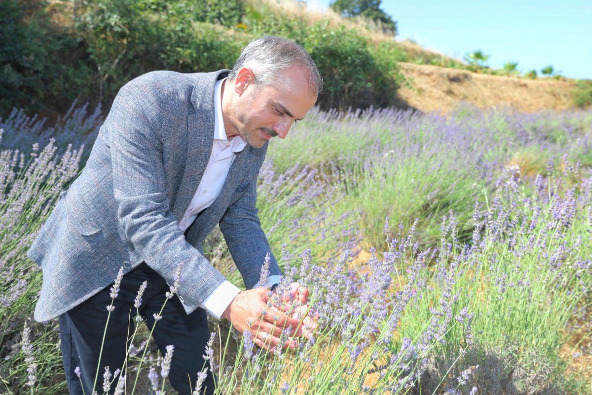 Çayırovalılar, lavanta hasadında bir araya geldi