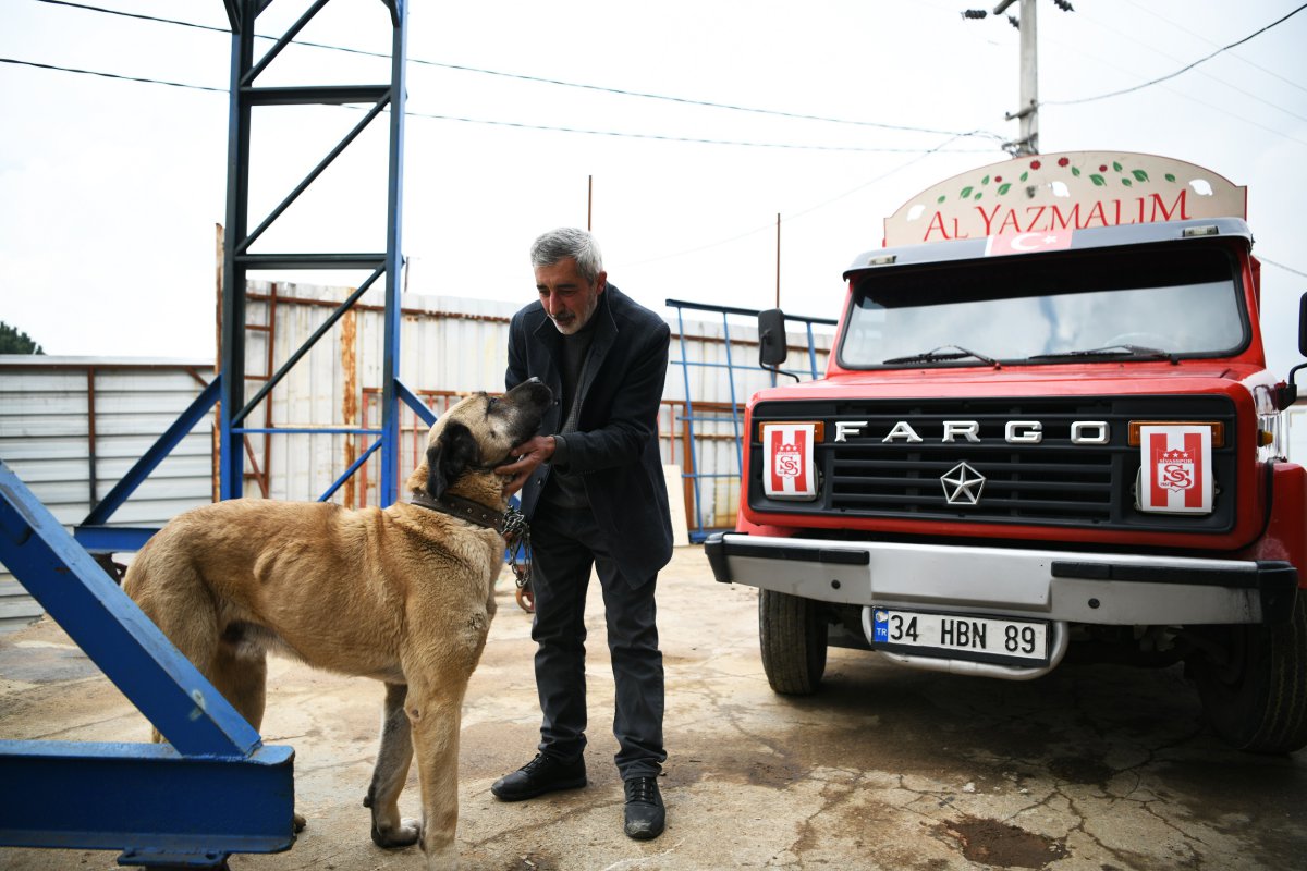 Kedi ve köpekleri onlara can dostları oldu