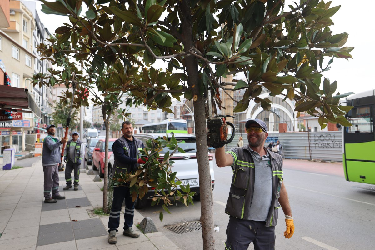 Çayırova’da mevsimlik budama çalışmaları başladı
