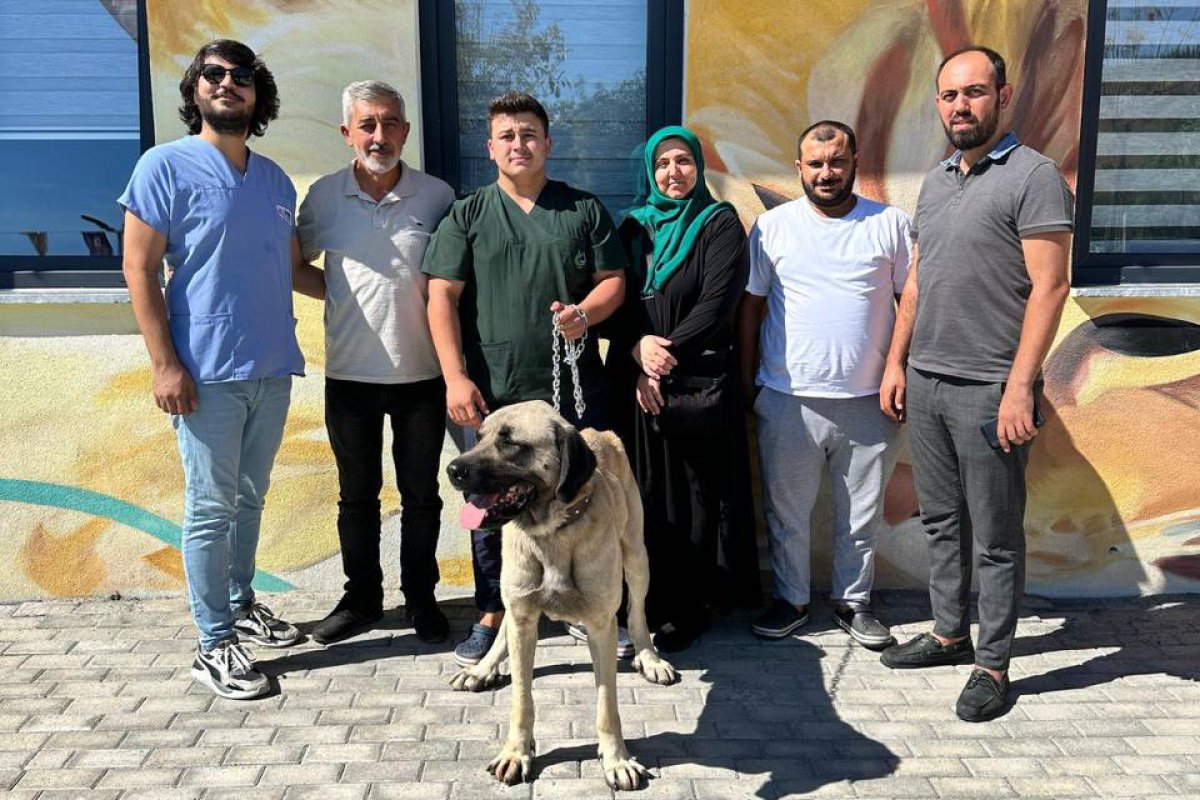 Kedi ve köpekleri onlara can dostları oldu