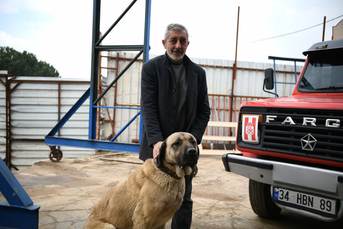 Kedi ve köpekleri onlara can dostları oldu
