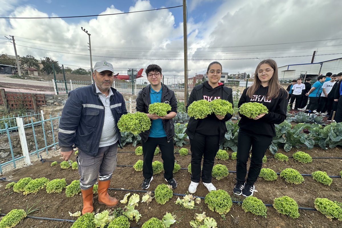 EKAL öğrencileri, Bahçem Çayırova’da hasat yaptı