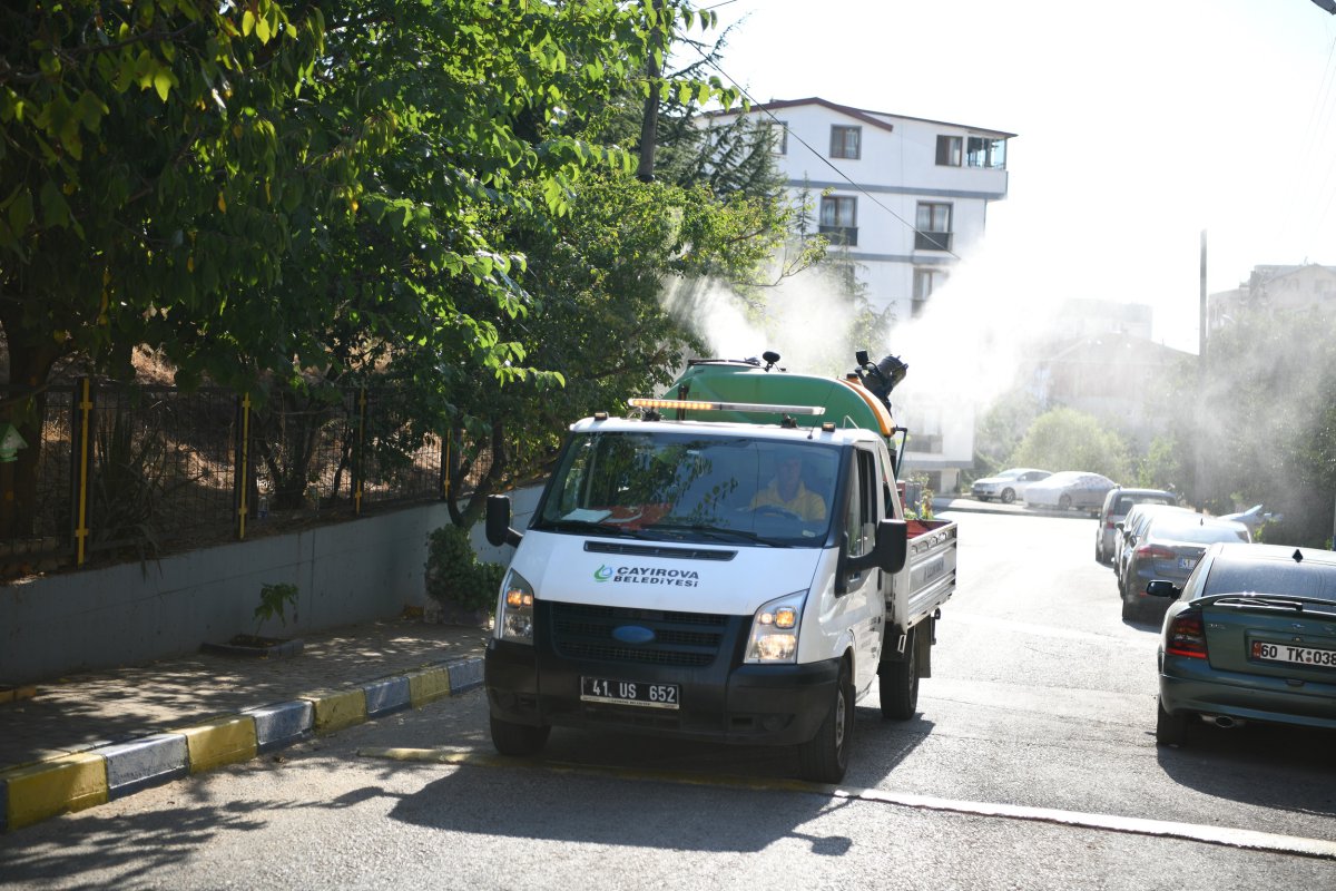 Vektörle mücadele aralıksız devam ediyor