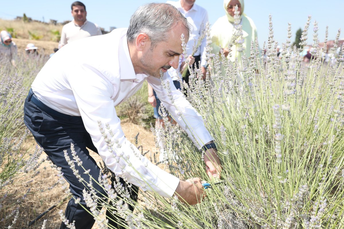 Çayırovalılar, lavanta hasadında bir araya geldi