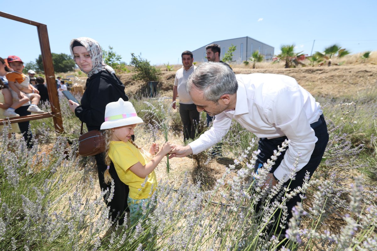 Çayırovalılar, lavanta hasadında bir araya geldi