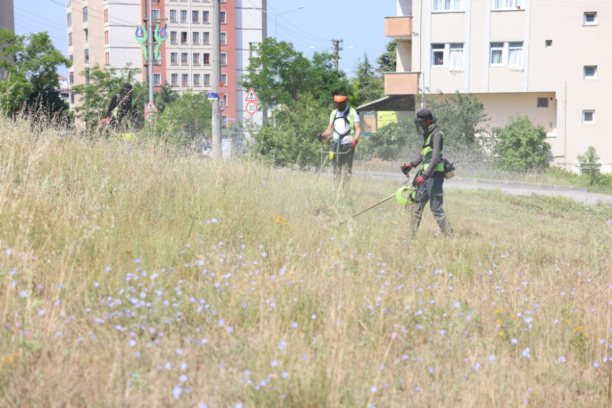 Boş arazilerdeki otlar biçiliyor