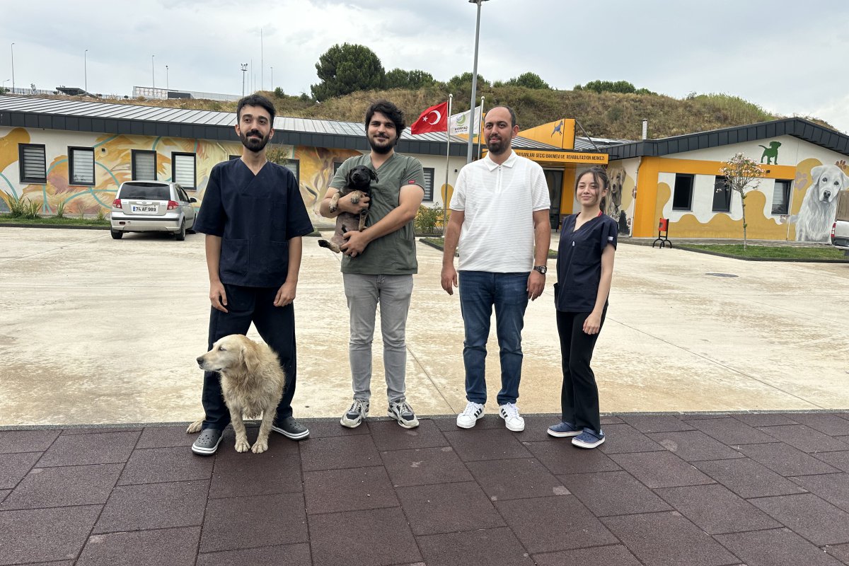 Zifte bulanmıştı, rehabilitasyon merkezinde yaşama tutundu