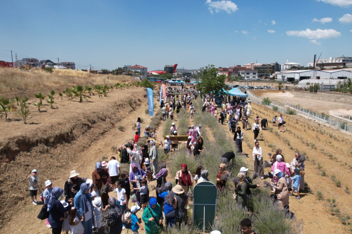 Çayırovalılar, lavanta hasadında bir araya geldi