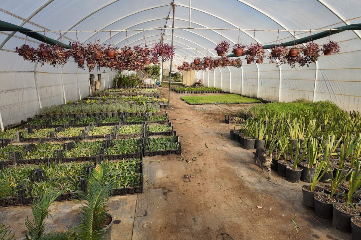 Daha yeşil bir Çayırova için 2024 dolu dolu geçti