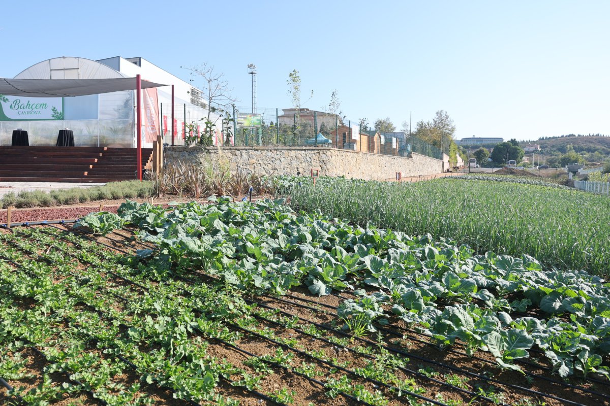 Bahçem Çayırova’nın kurdelesi kesildi
