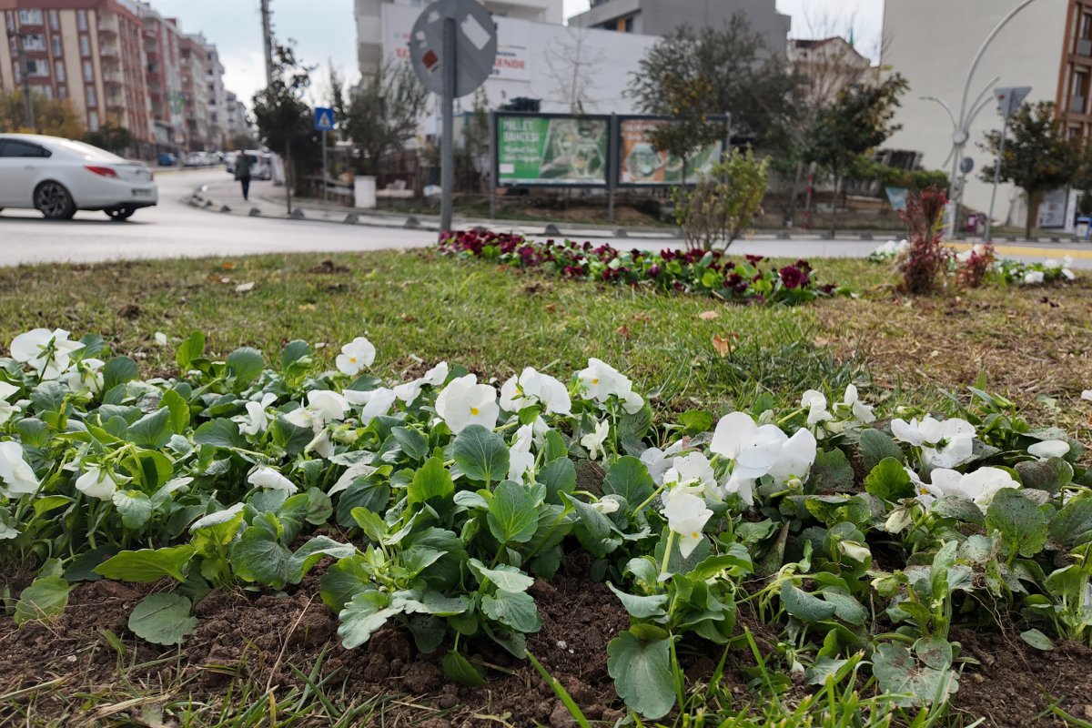 Çayırova’da mevsimlik çiçek ekimi