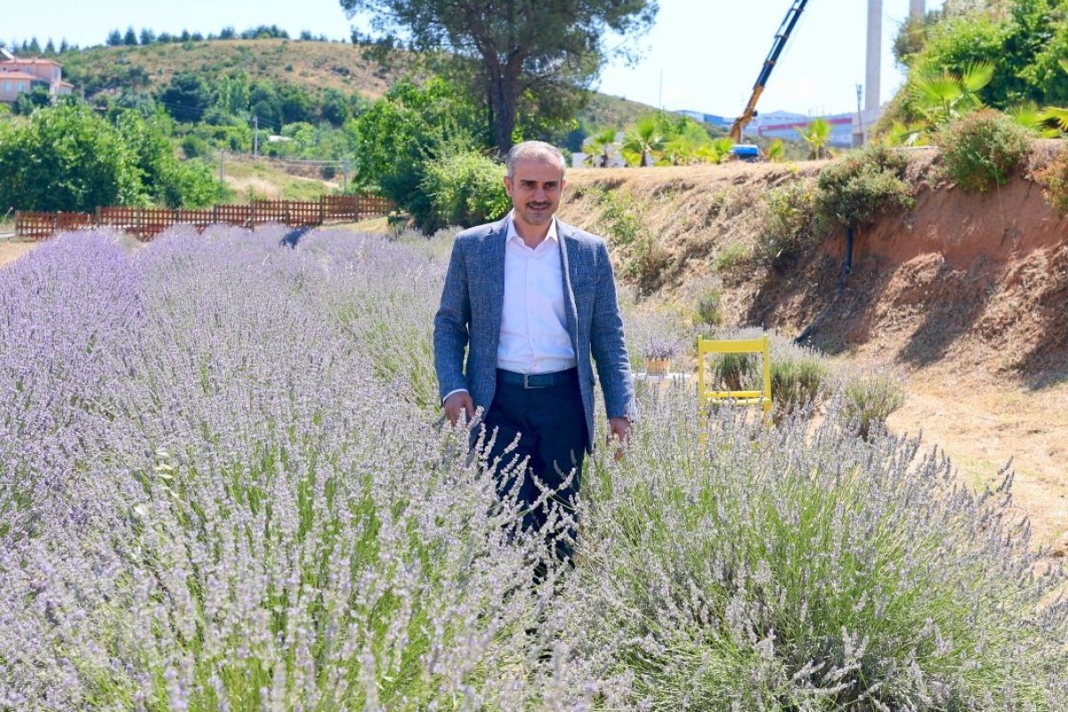Çayırovalılar, lavanta hasadında bir araya geldi