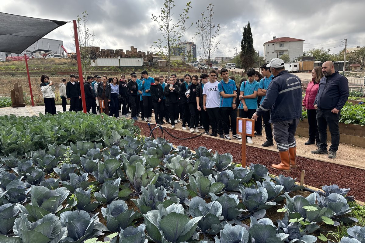 EKAL öğrencileri, Bahçem Çayırova’da hasat yaptı